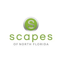 Scapes of North Florida avatar